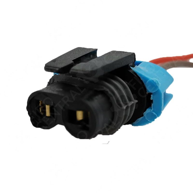 SOQUET PARA FOCO Y 9005  9006 (ENCHUFE, CONECTOR, ARNES)  - Arnes - - Firo Central